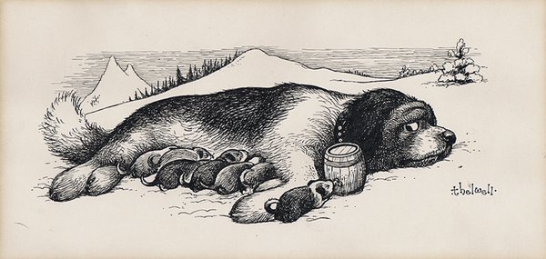 (A St Bernard puppy suckles at its mother's brandy barrel) - Cartoon