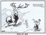 Stag at bay Image.