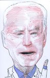 Vice President Joe Biden Image.