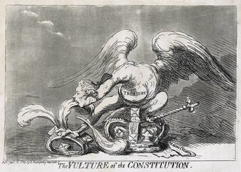 The Vulture of the Constitution