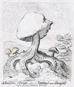 An Excrescence, a Fungus, alias a Toadstool upon a Dunghill.