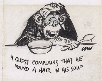 A guest complains that he found a hair in his soup